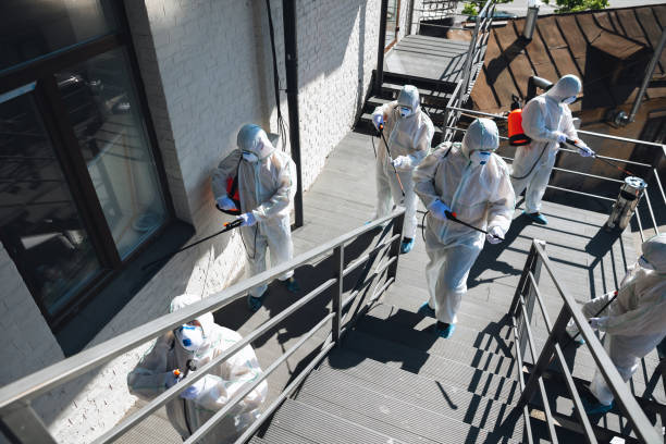 Best Emergency Mold Remediation  in Ojus, FL