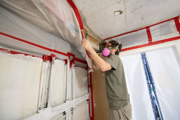 Best Mold Damage Restoration  in Ojus, FL