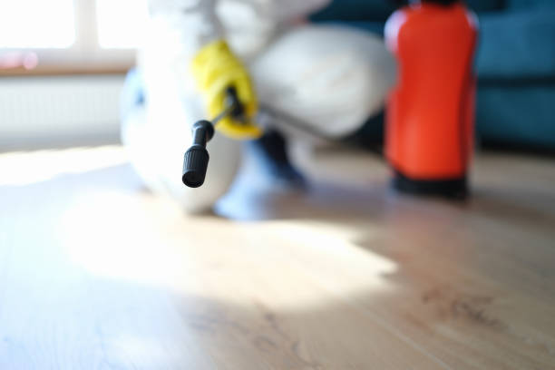 Asbestos and Lead Testing During Mold Inspection in Ojus, FL
