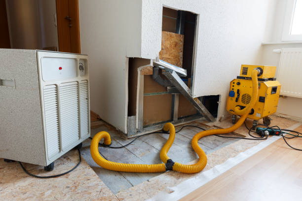 Best Industrial Mold Remediation  in Ojus, FL